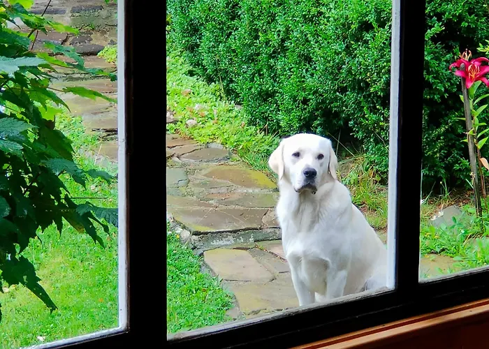 Pensiunea GabrielaPensiune